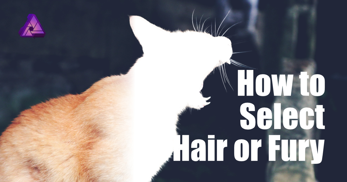 複雜背景下，完成髮絲去背